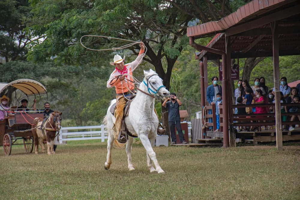 Farm Chokchai
