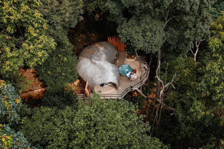 Lanna Wild Chiang Mai
