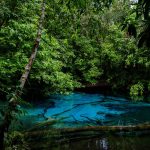 Emerald Pool Krabi