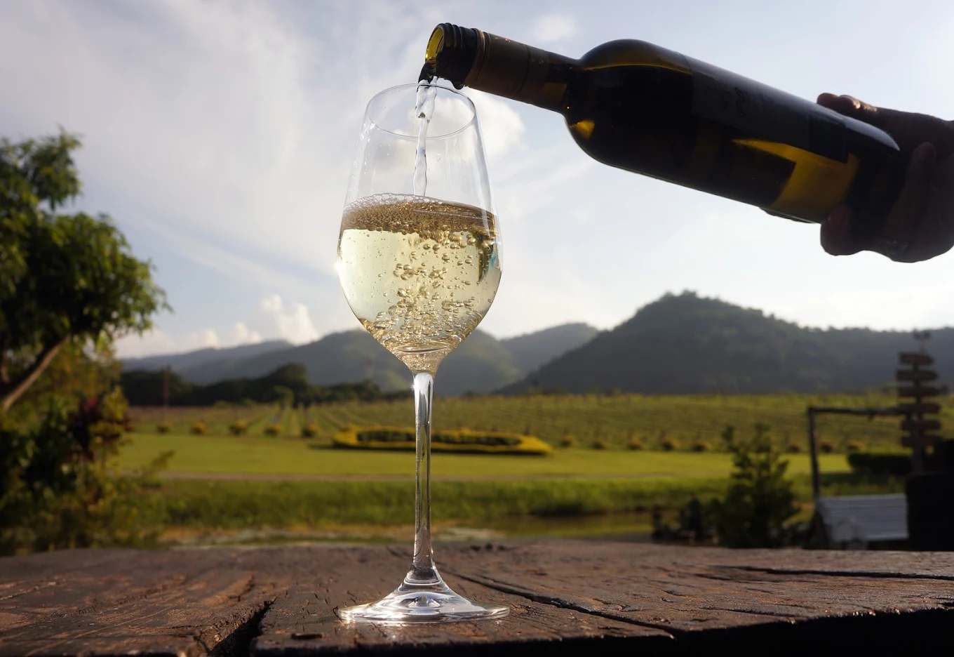 PB Valley Winery